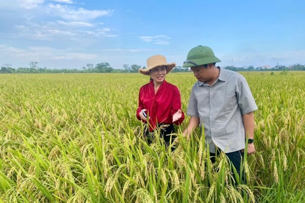 Làm giàu từ cánh đồng mẫu lớn